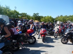 XVIII Concentracion - 2011